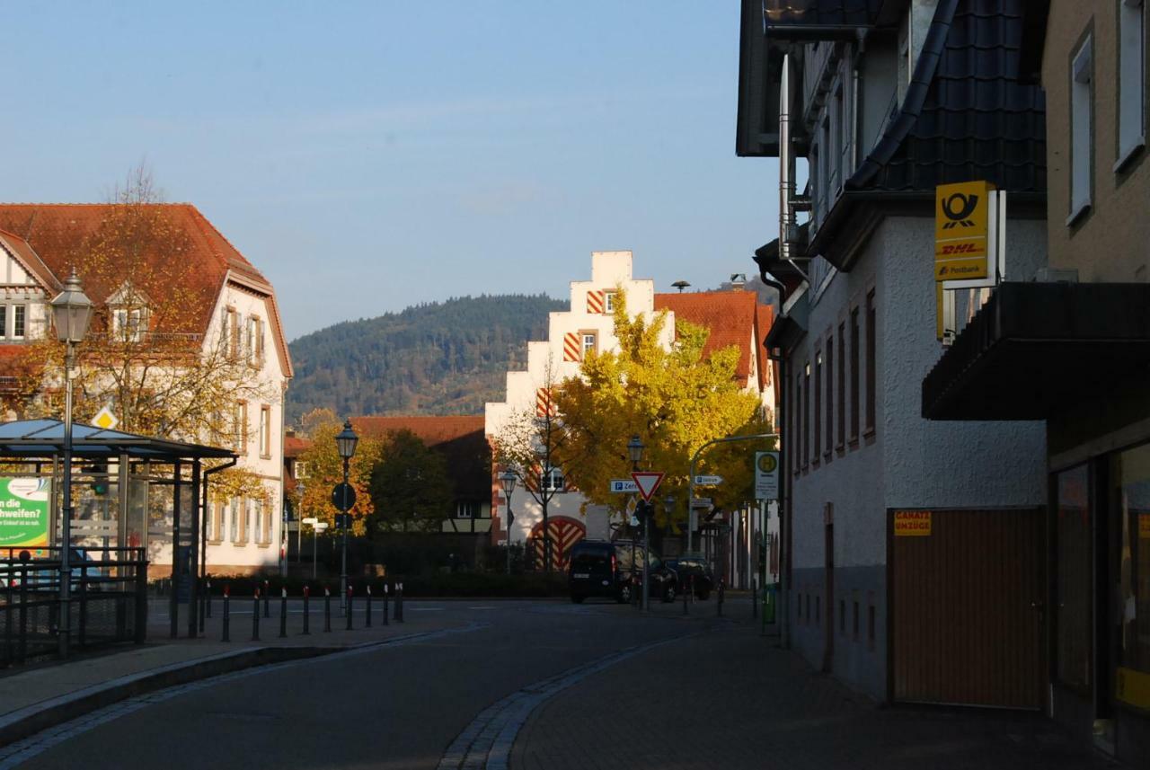 Hildastrasse 1 Appart.2 Фризенхайм Экстерьер фото